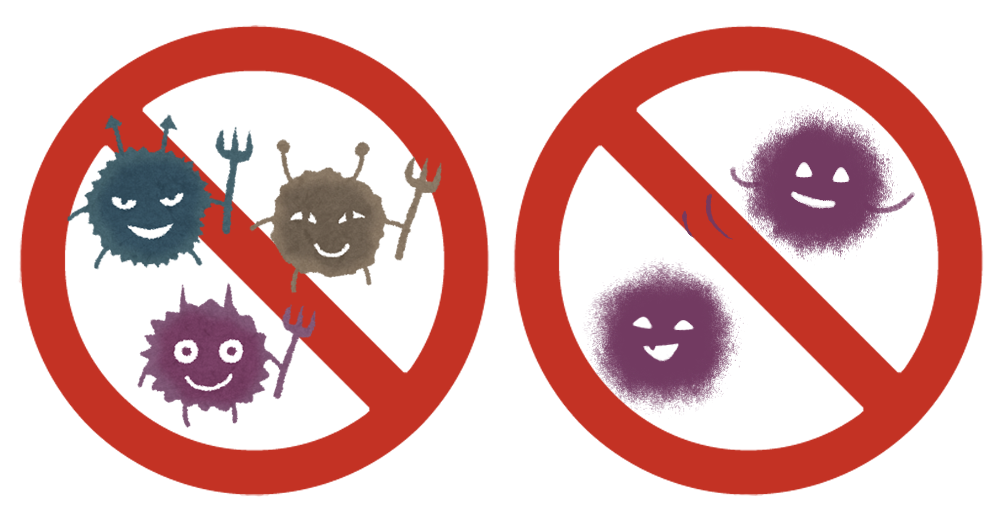 水回り防カビコーティングの効果