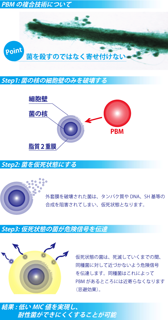 防カビ抗菌コーティングのしくみ